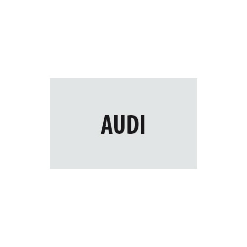 49-Audi.jpg